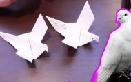 Как сделать из бумаги голубя