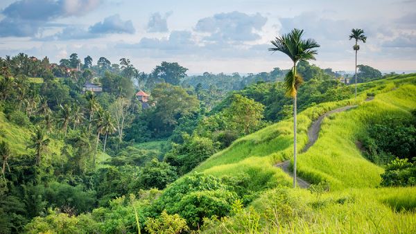 Отдыхающая на Бали россиянка рассказала о наводнении на острове