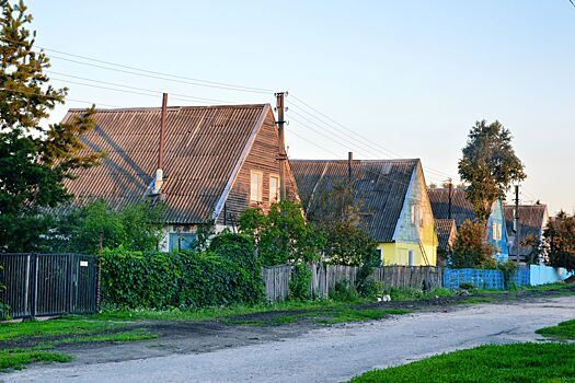 В России запустили деревенские туры по перевоспитанию зумеров