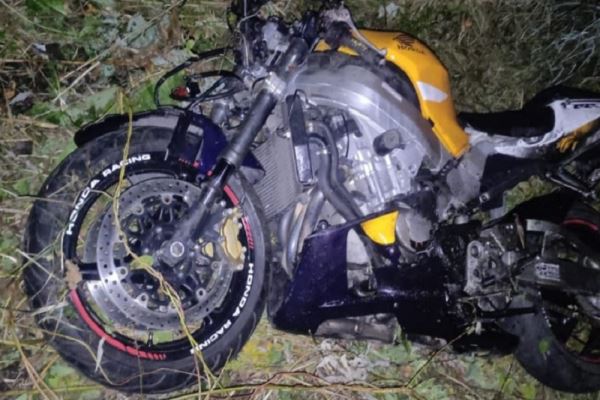 Мотоциклисты погибли после столкновения с лосем в Кузбассе