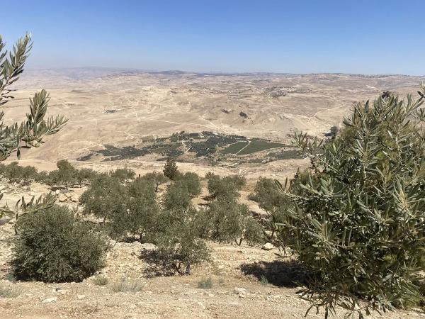 Что делать в Иордании. Часть 2: Мертвое море и святые места