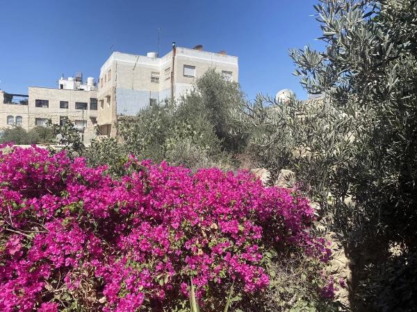 Что делать в Иордании. Часть 2: Мертвое море и святые места