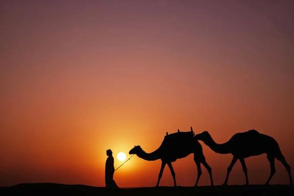 Напитаться отдыхом: гид по расслабляющему отдыху в Дубае