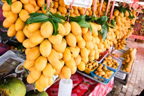 Сезоны манго: в каких странах и когда пробовать короля фруктов