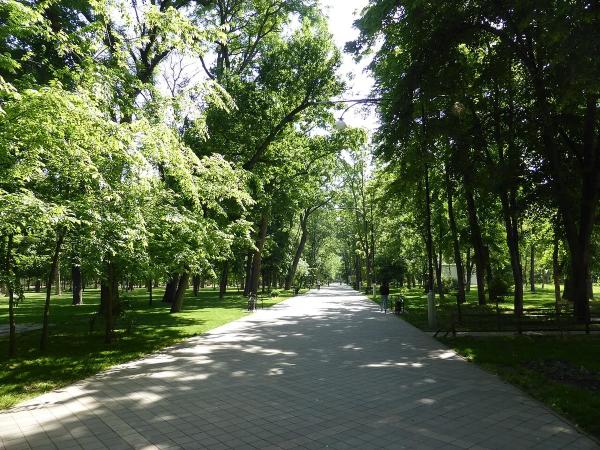 Что посмотреть в Краснодаре и сколько там стоят гостиницы